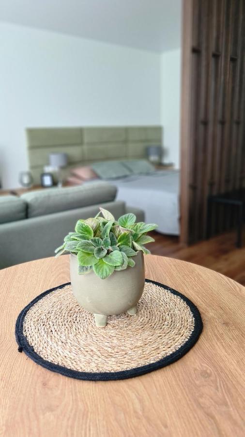 Mona Apartamentai Telšiai المظهر الخارجي الصورة